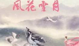 在线观看风花雪月,穿越时空的浪漫邂逅